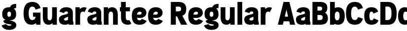 g Guarantee Regular font