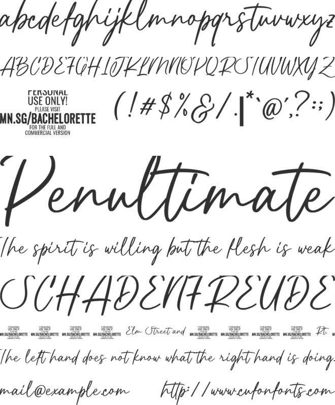 Bachelorette PERSONAL USE ONLY font preview