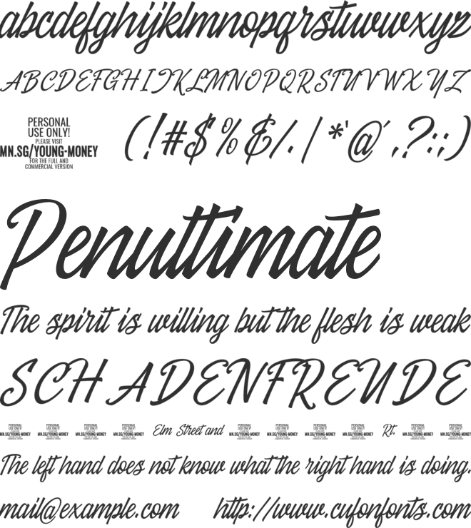 Young Money PERSONAL USE font preview