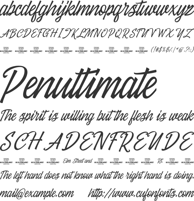 Young Money PERSONAL USE font preview