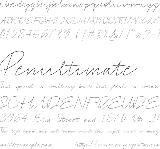 Signotera font preview