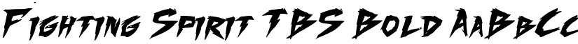 Fighting Spirit TBS Bold font
