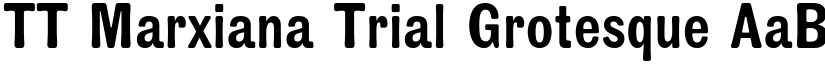 TT Marxiana Trial Grotesque font
