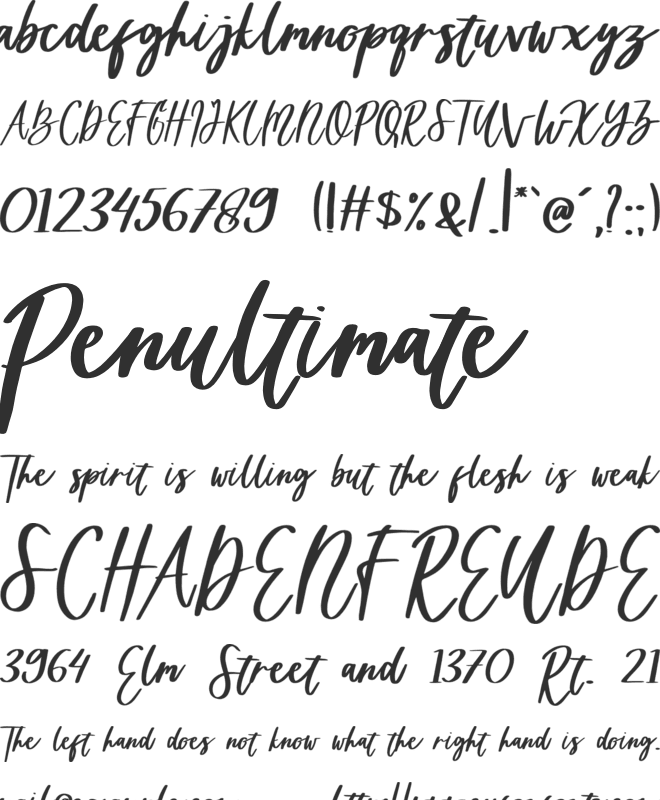 Sweet Exprience font preview