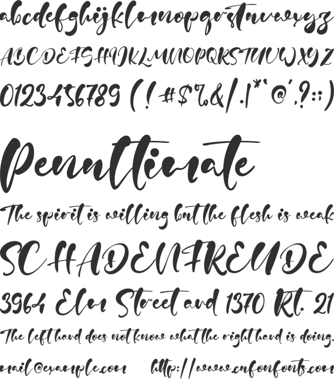 Kevin Doyle font preview
