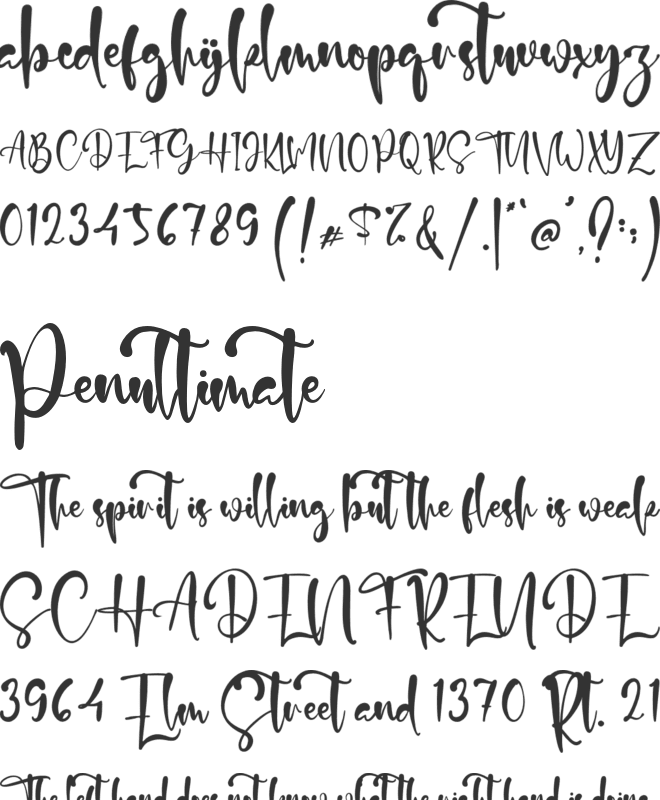 Gino Gary font preview