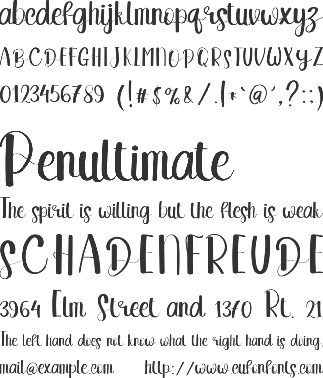 Someone Loving font preview