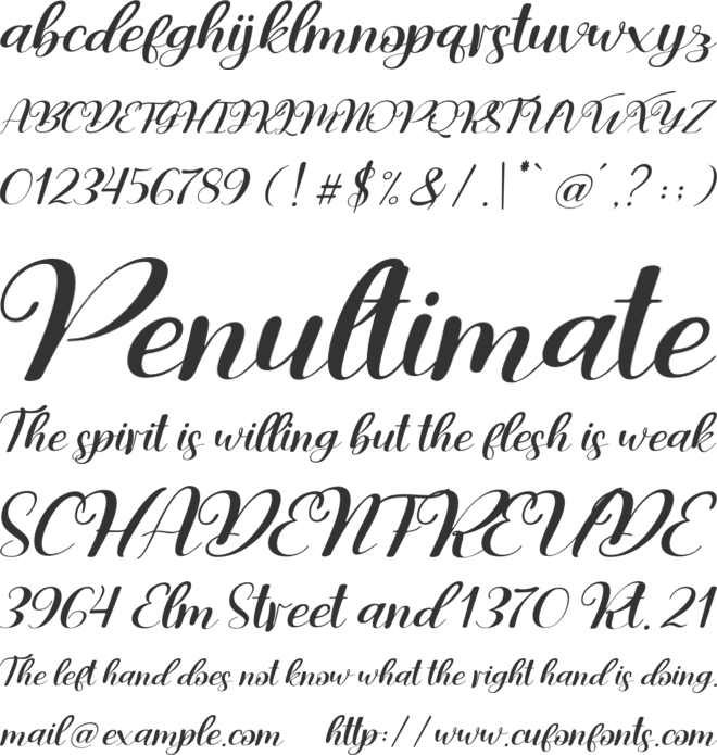 Ashley Rosa font preview