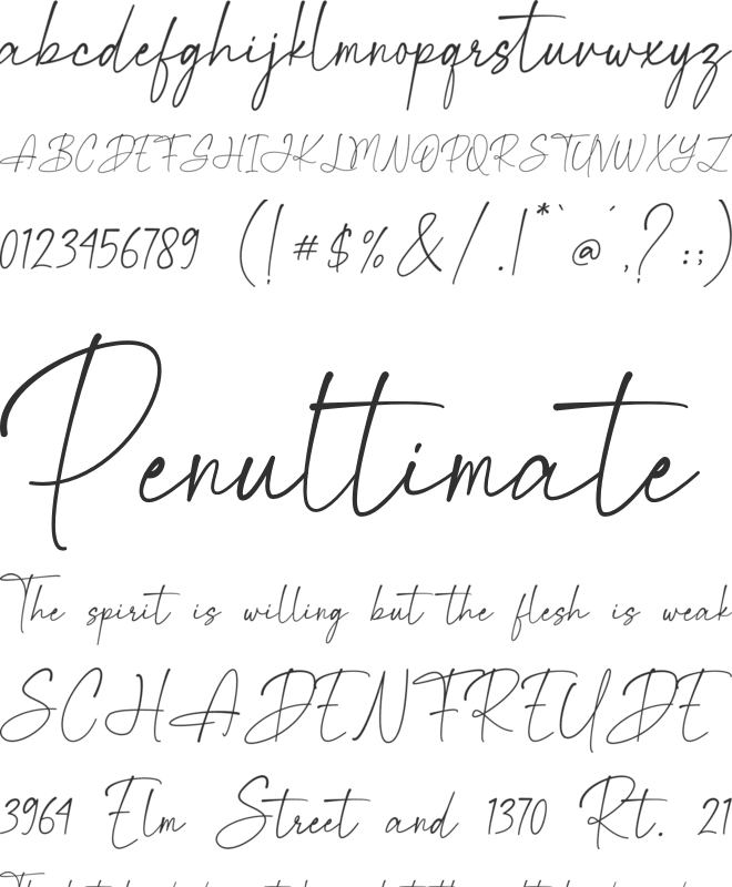 Magnificent Signature font preview