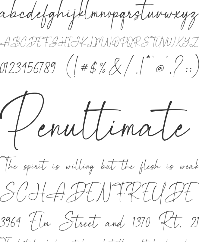 Magnificent Signature font preview
