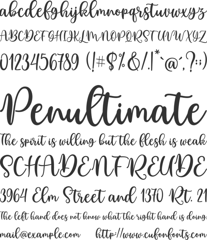 Beauty Sabila Script font preview