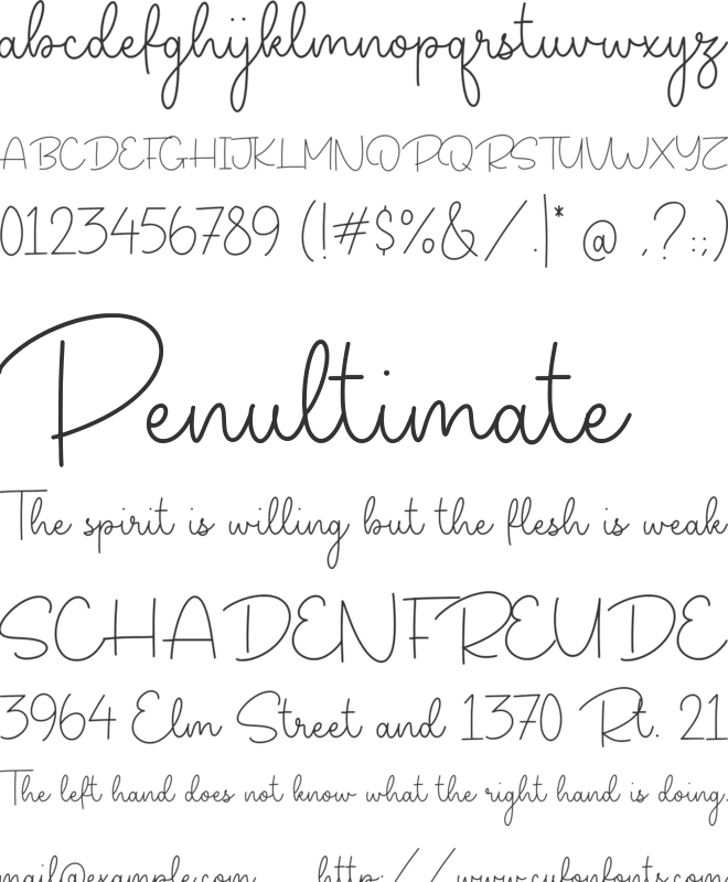 Natalia Signature font preview