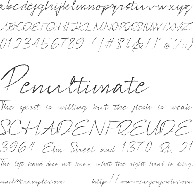 Signotera Brush font preview