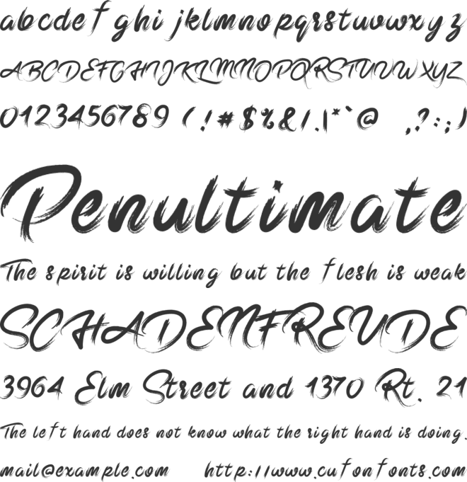 Rumble In The Jungle font preview