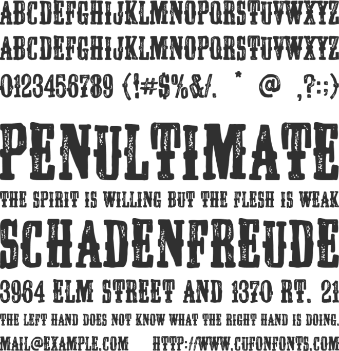 Wild United State font preview