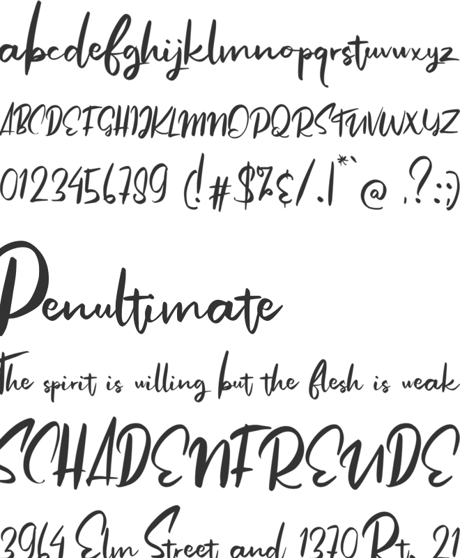 Angolia font preview