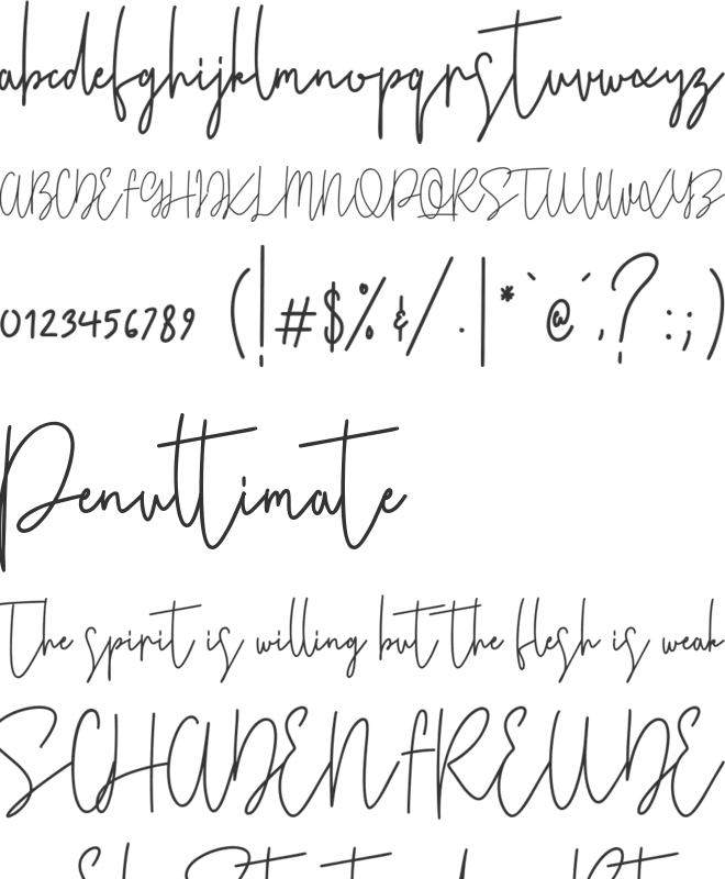 Flower Bay font preview