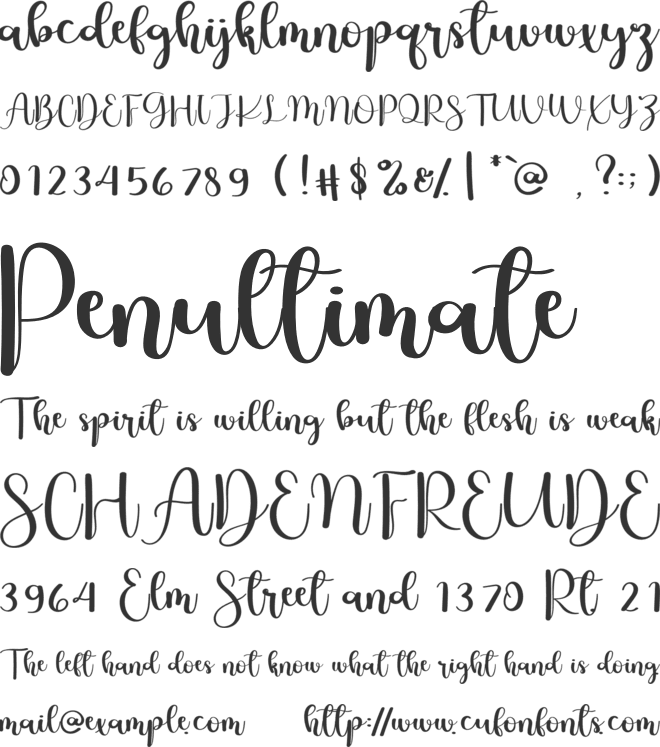 Daisy Flowers font preview
