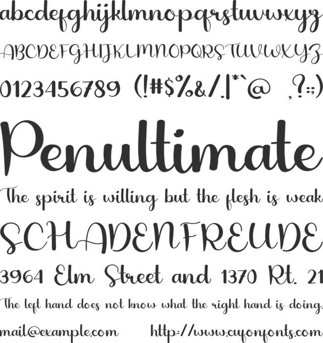 Elegant Handwriting font preview
