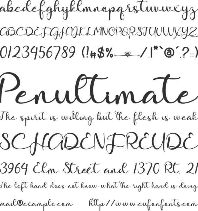 Allie Ethan font preview
