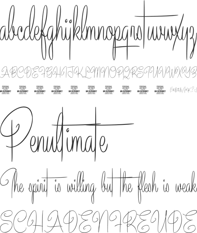 Bundey Script PERSONAL USE font preview