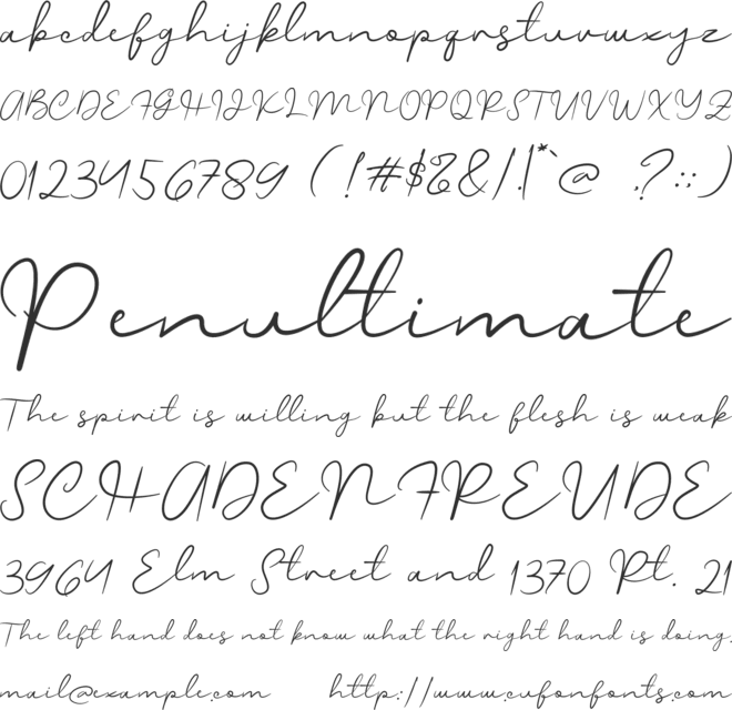 Private Signature font preview