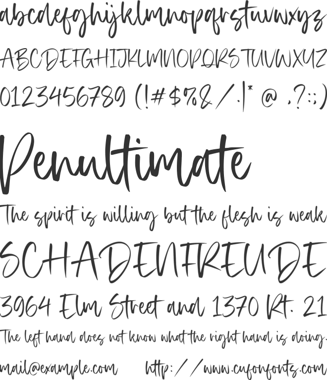 Authentica font preview
