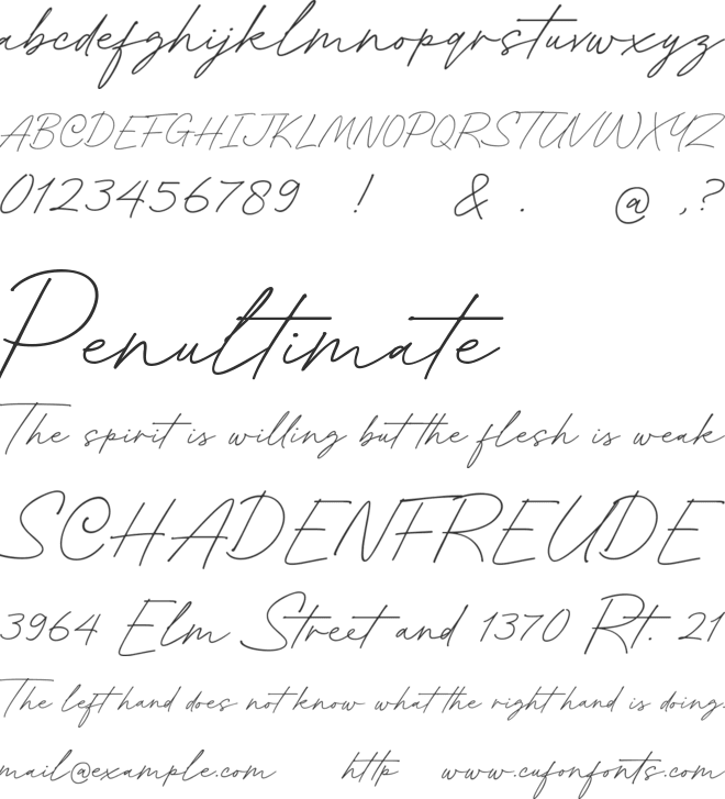 Honthany Signature font preview