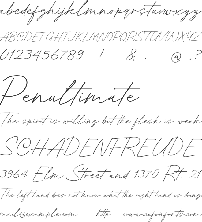 Honthany Signature font preview