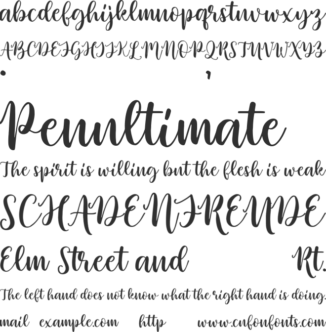 Beswash font preview