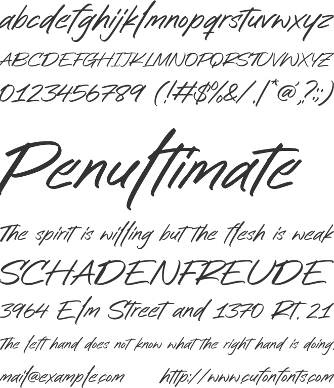 Baltigo City font preview