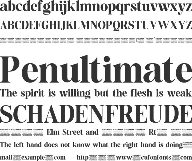 The Billion Butterfly Personal font preview