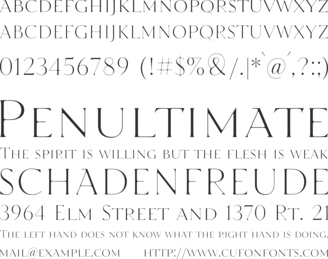 TT Ricordi Trial font preview