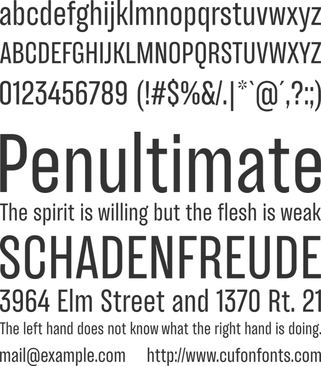 TT Backwards Sans Trial font preview