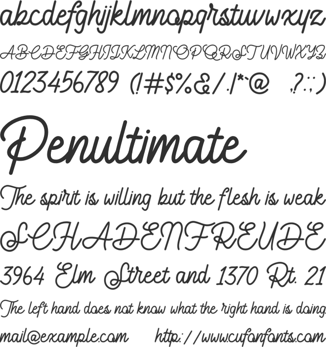 Saturday Winter font preview