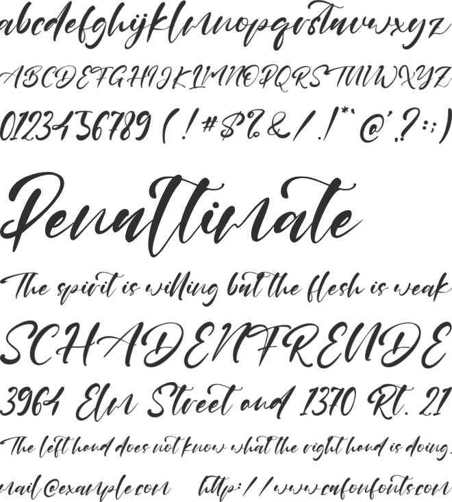 Catty Hall font preview