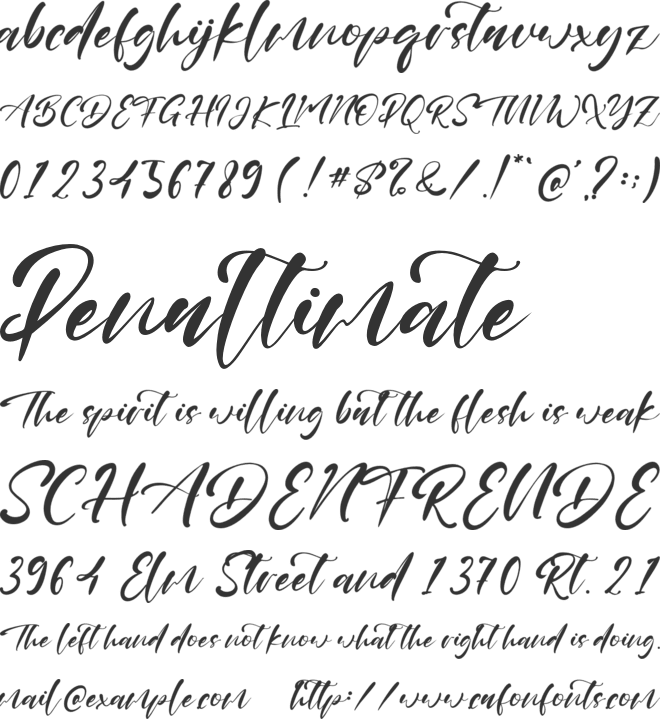 Catty Hall font preview