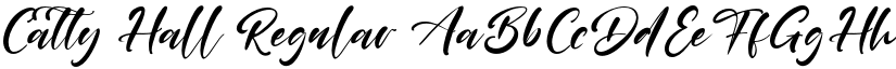 Catty Hall Regular font