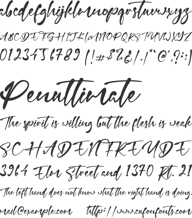 Tania Sarah font preview