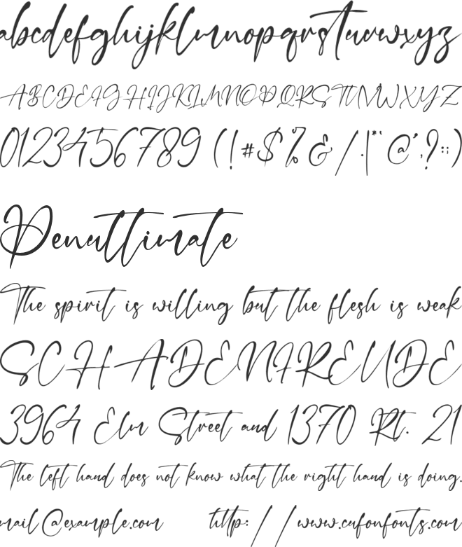 Lilly Elise font preview