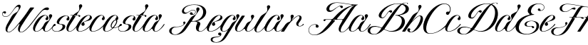Wastecosta font download