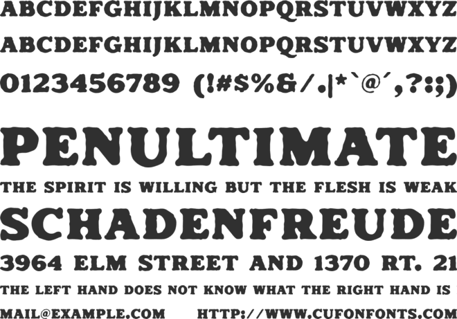 Summer Surfing Serif font preview