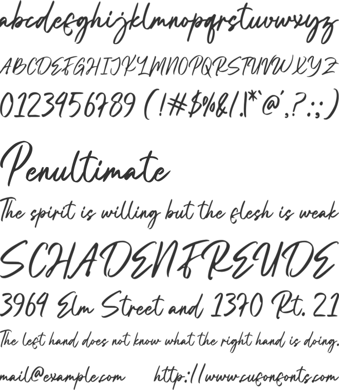 Bareng Story font preview