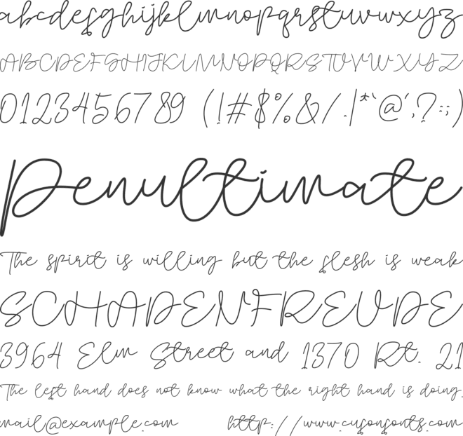 Holidye font preview