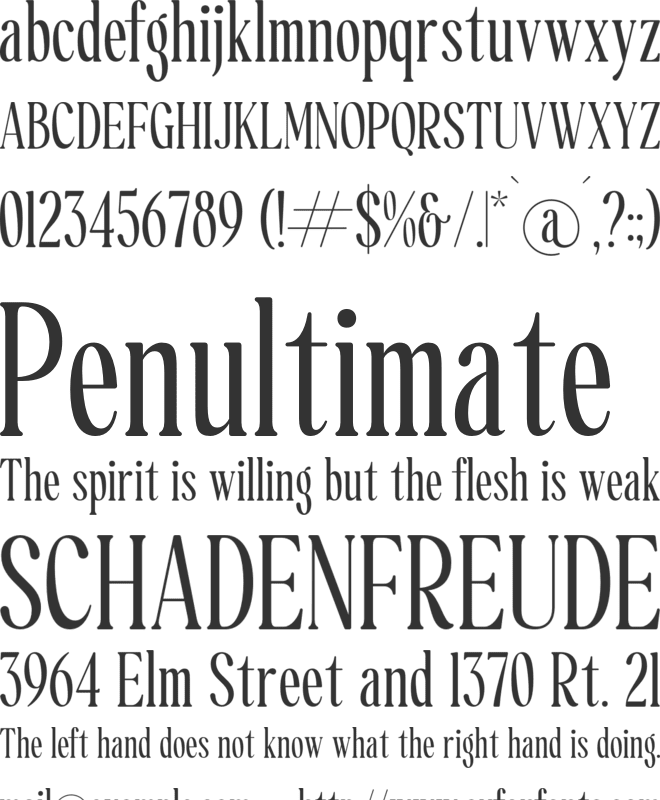 Dailyfully font preview