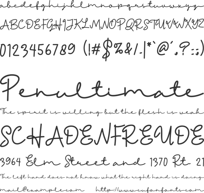 Friendly Sunday Script font preview