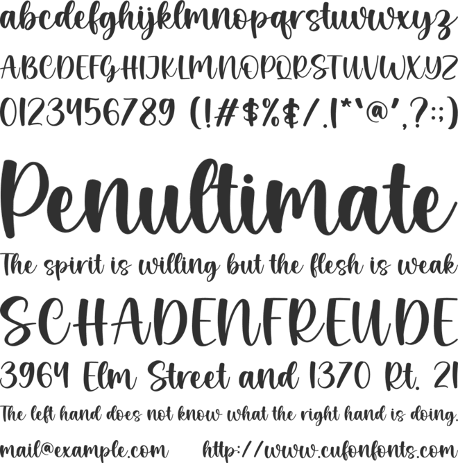 Snow Buddy font preview