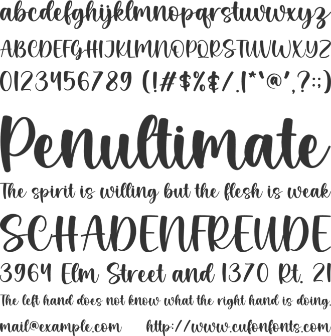 Snow Buddy font preview