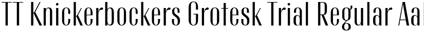 TT Knickerbockers Grotesk Trial Regular font