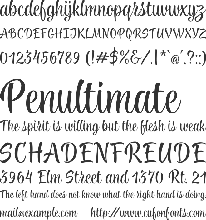 TT Knickerbockers Script font preview